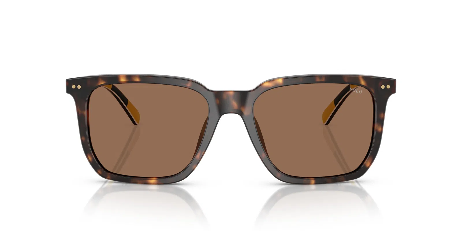 Polo 4224F Sunglasses - view 12